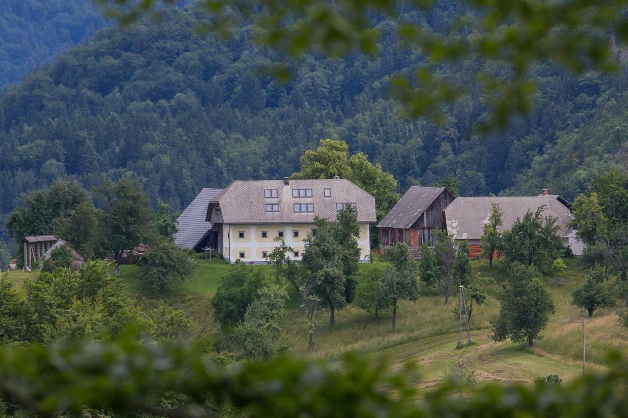 Apartment Krnicar Zgornje Gorje Kültér fotó
