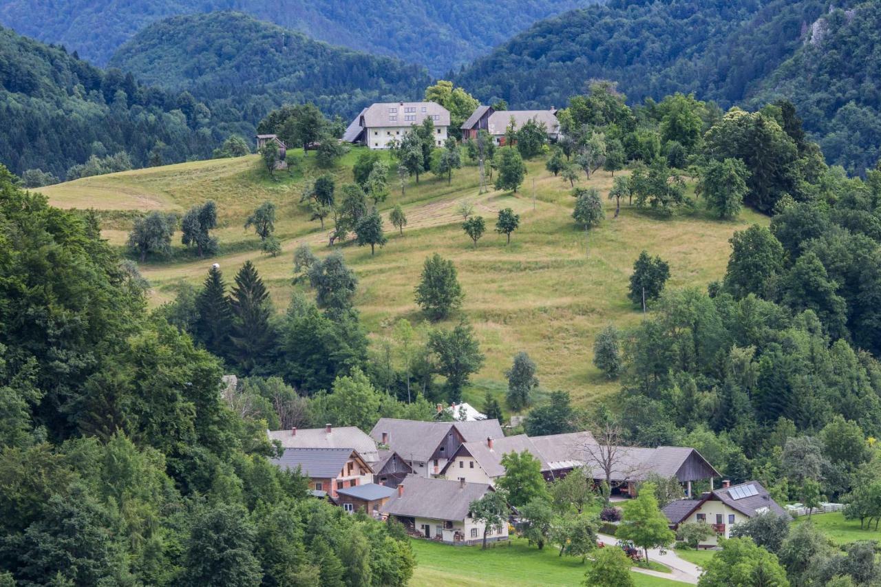 Apartment Krnicar Zgornje Gorje Kültér fotó