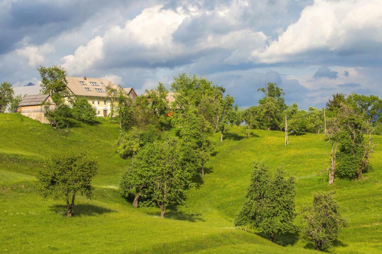 Apartment Krnicar Zgornje Gorje Kültér fotó